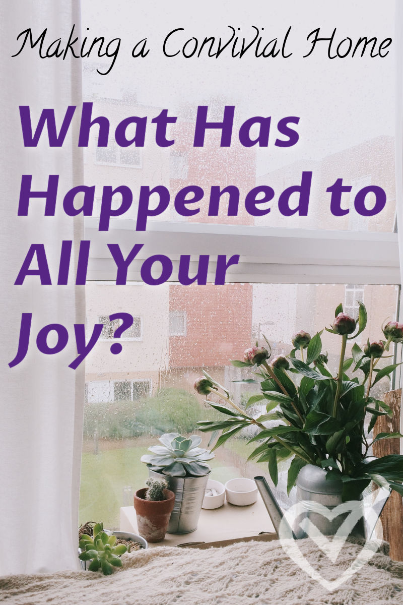 We can be living the life we always wanted, but somehow lose our joy in it. What do we do then? How do we move forward? What happened to our joy?