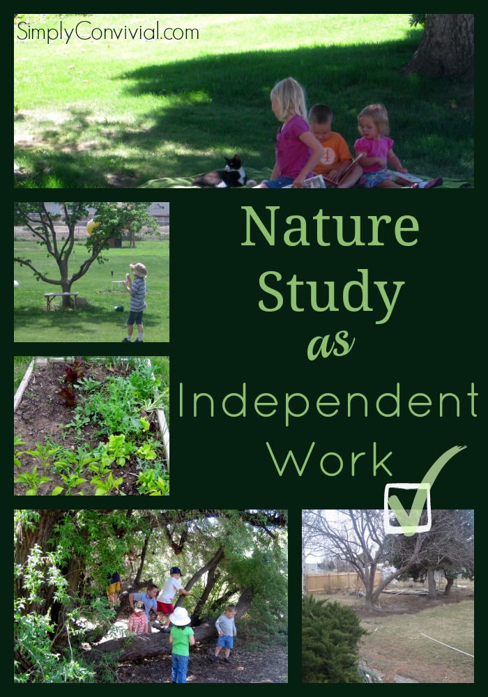 nature-study