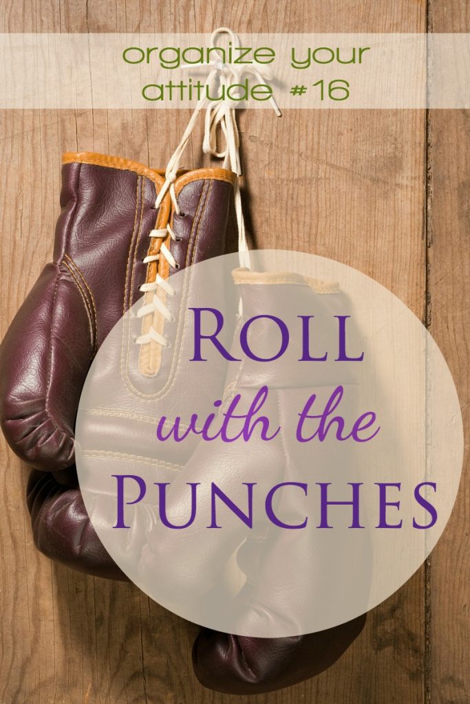 Roll with the punches is a little metaphor-motto that helps us handle whatever life throughs us with calm grace. Roll with the punches.