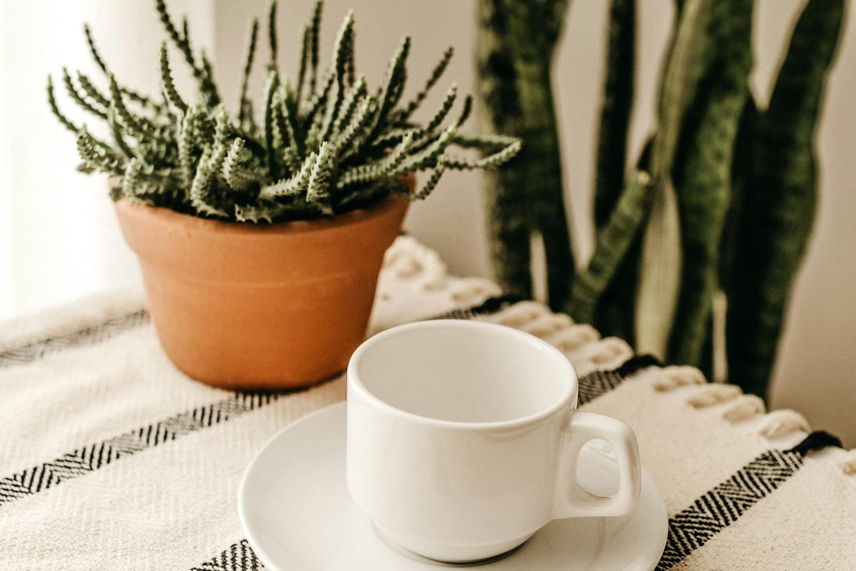 White Cup With Saucer