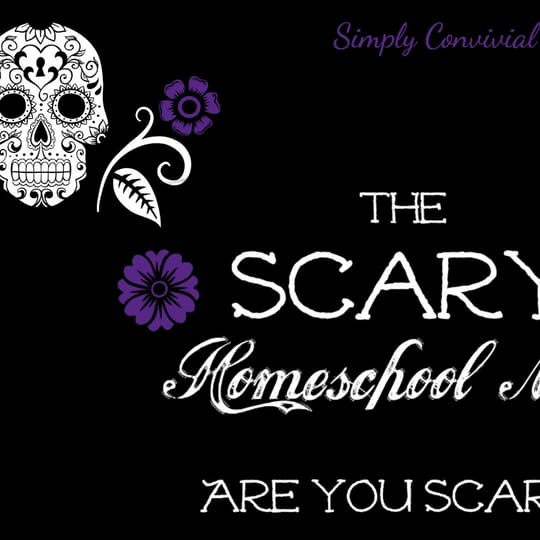 The Scary Homeschool Mom