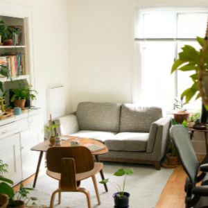 living room in the morning light