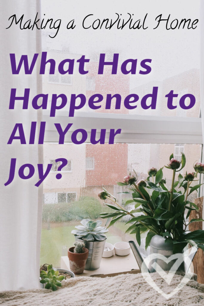 A Convivial Home: What Has Happened to All Your Joy?