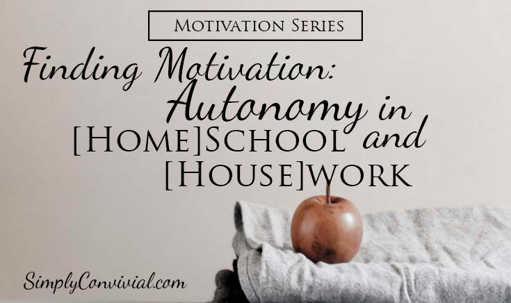 Finding Motivation: Autonomy in [Home] School and [House] Work