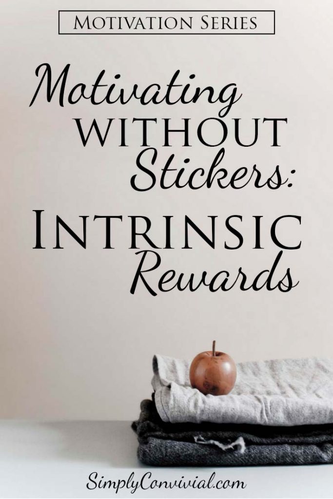 What is intrinsic motivation? How do we teach it to our children...and ourselves? What is the value in intrinsic motivation?