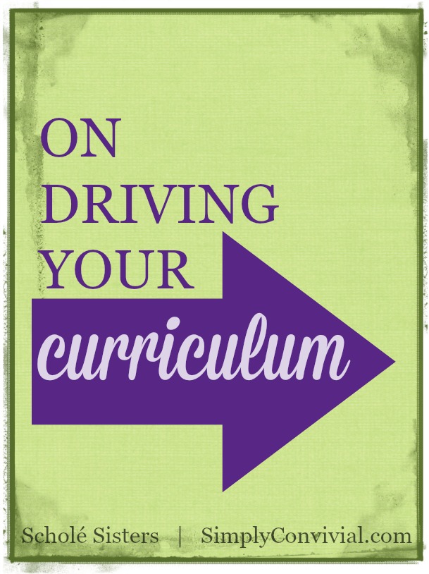 driving-curriculum