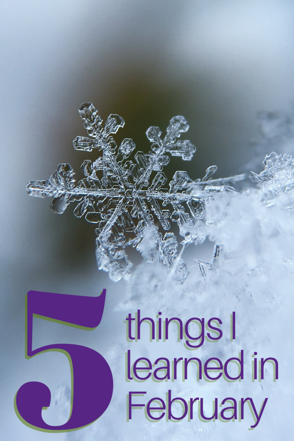 February was cold and snowy, but not nearly so bad as in many places. It was a month to be grateful for what we have. Here are 5 things I learned in the month of February.