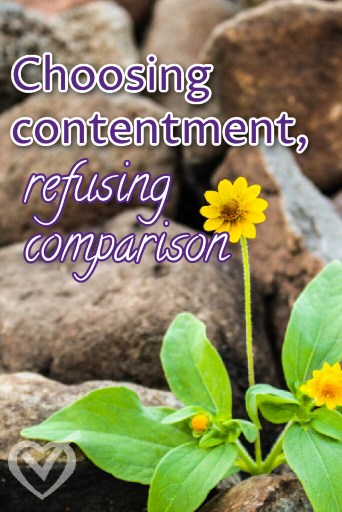 It's easy to compare ourselves to others, but we must remember we aren't seeing their whole picture. Instead we should choose contentment and refuse comparison.